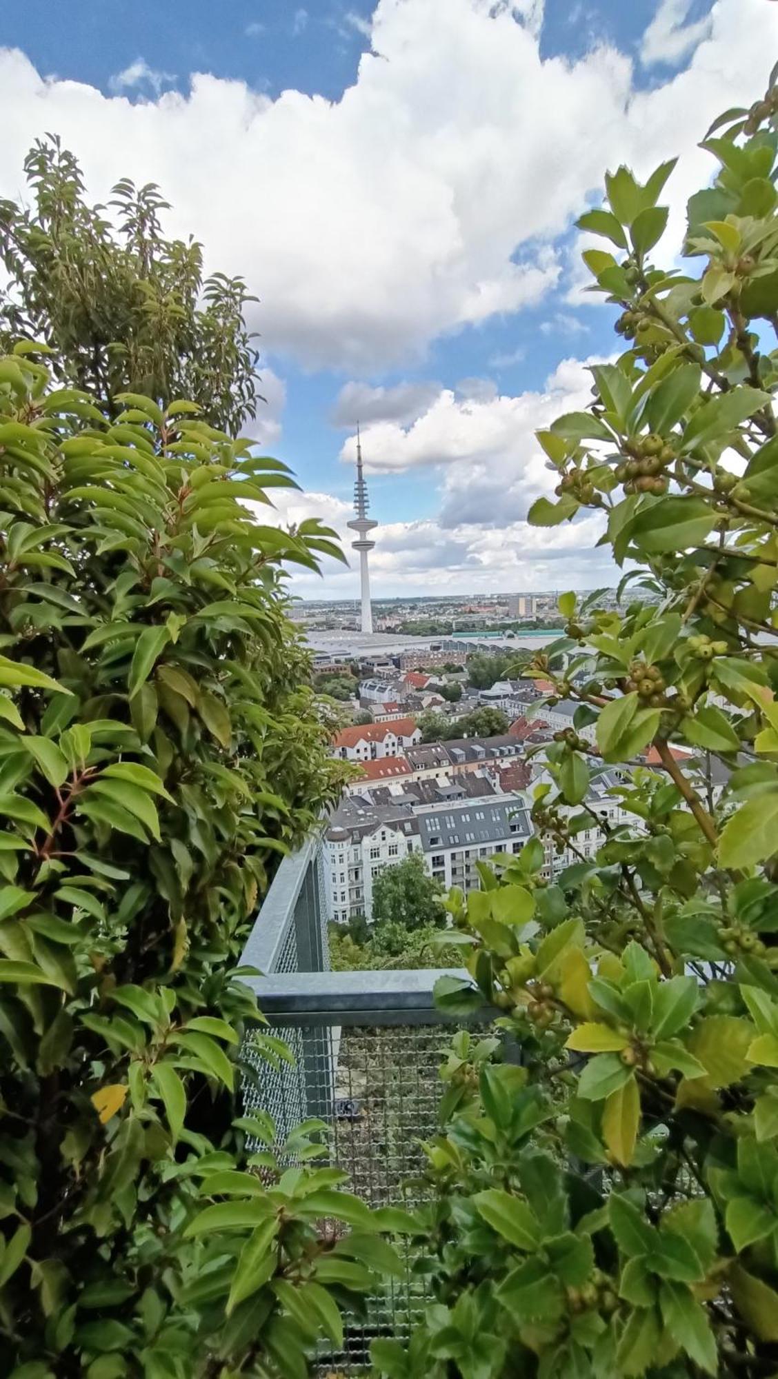 Stilvolles Ambiente Im Gruenen Hamburg! Apartment Екстериор снимка
